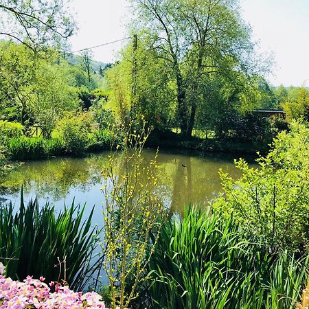 Bed and Breakfast Domaine Le Hetrey Toutainville Esterno foto